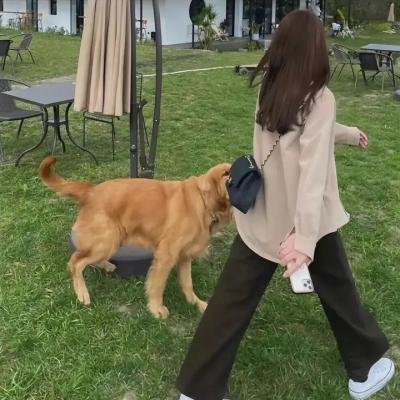三位强者