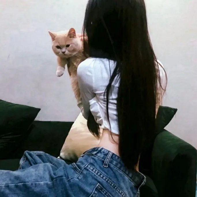 附属美丽