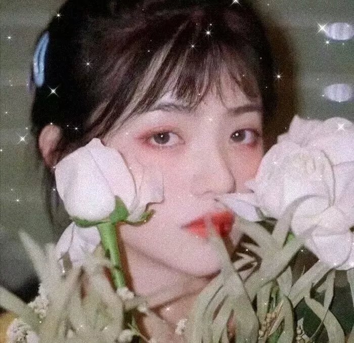朋友请吃饭第三季